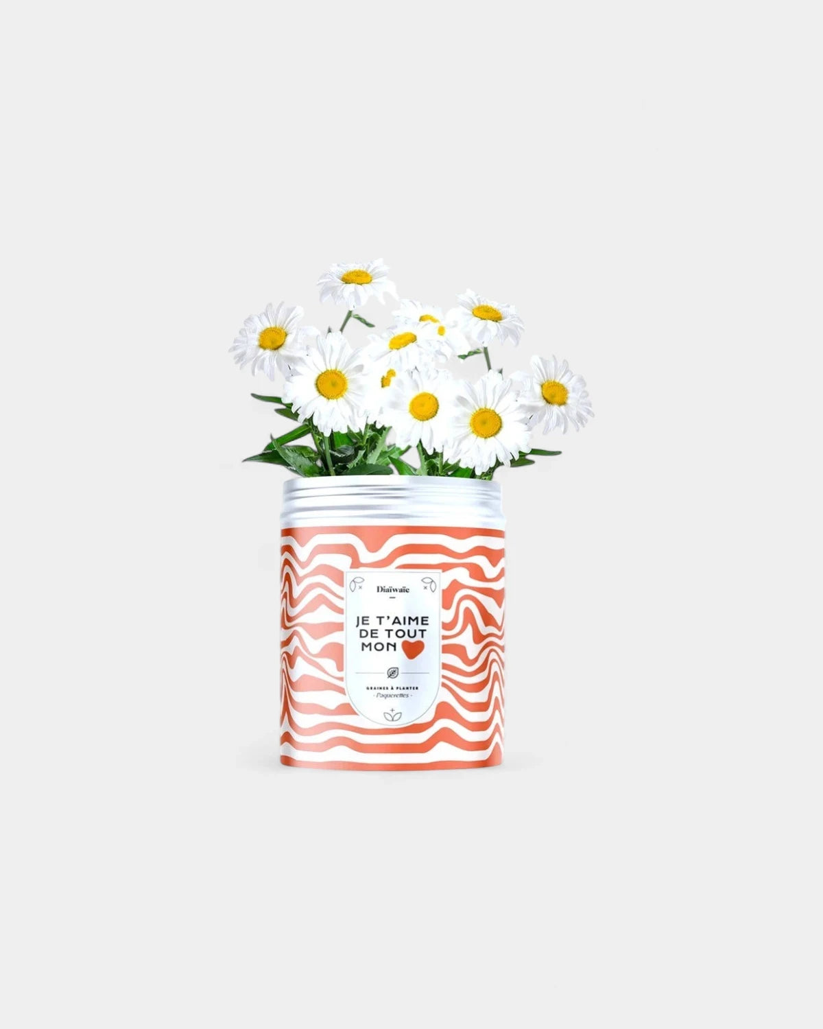 Customizable Planting Seed Kits