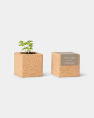 Customizable Grow Cube