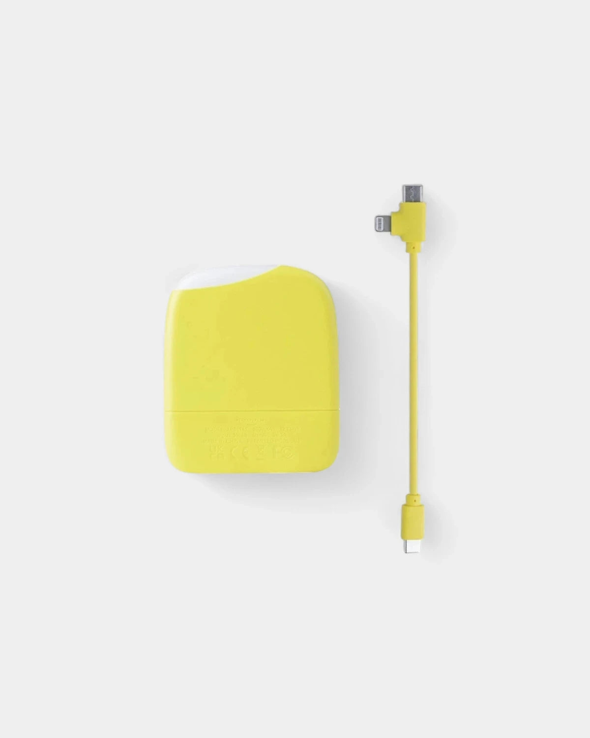 Customizable Recycled Plastic Charger/Flashlight - 21