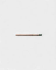 Customizable Eco-Friendly Plantable Pencil - 9