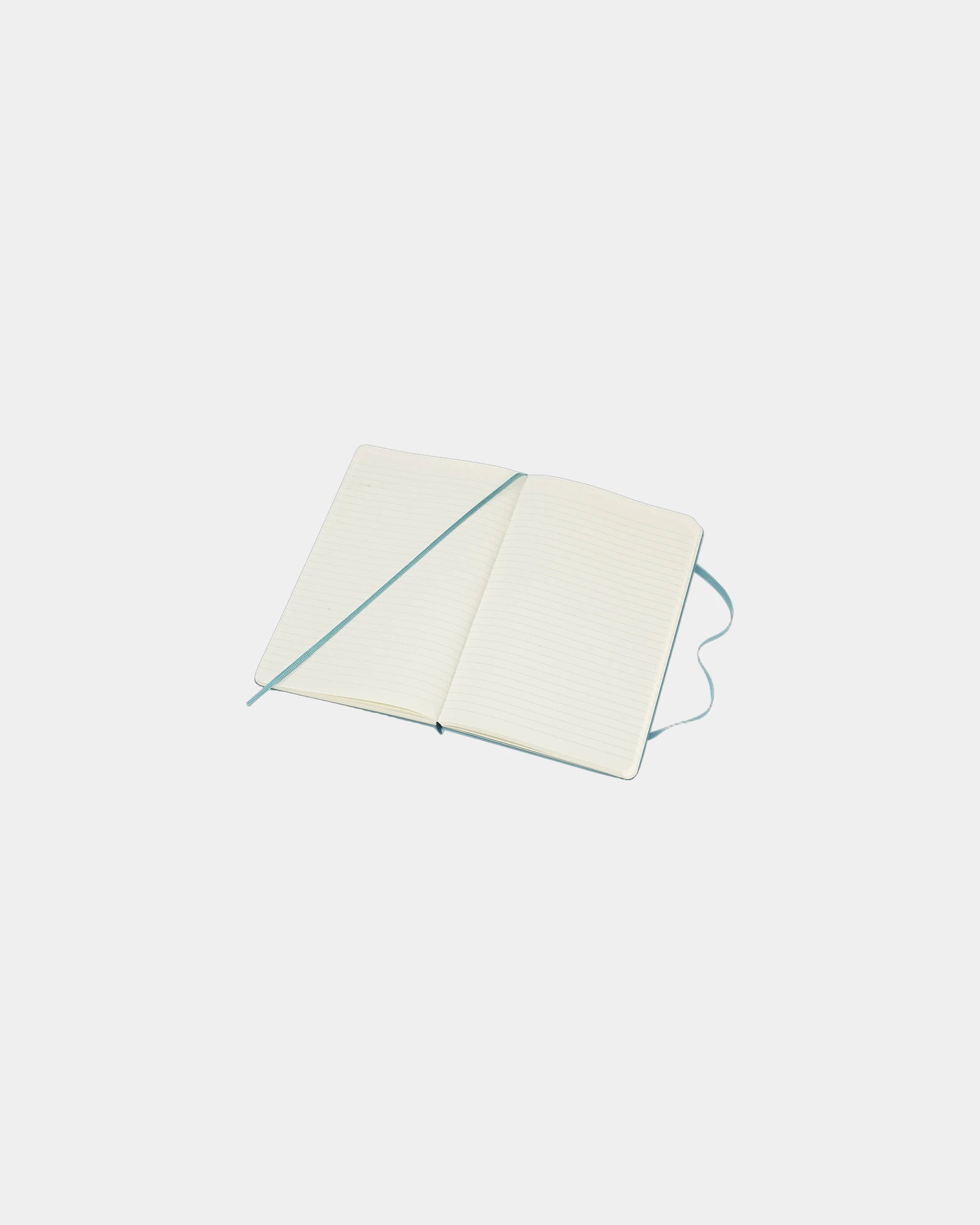 Custom eco-friendly Moleskine Classic L notebook - 21