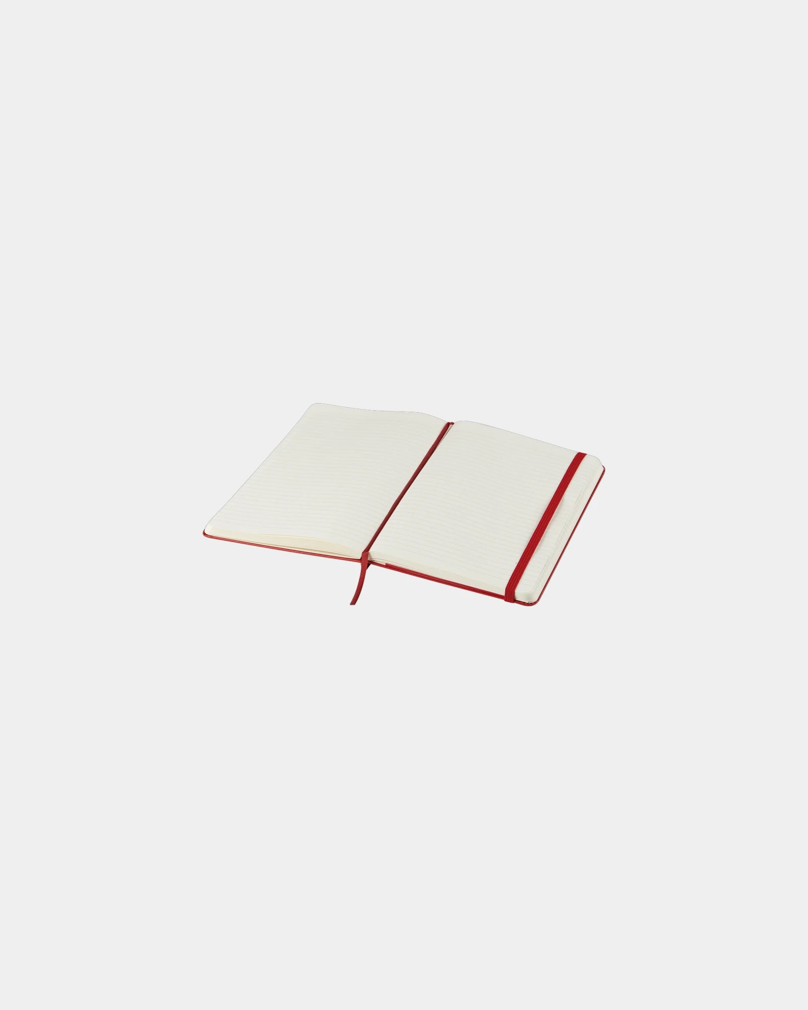 Custom eco-friendly Moleskine Classic L notebook - 24
