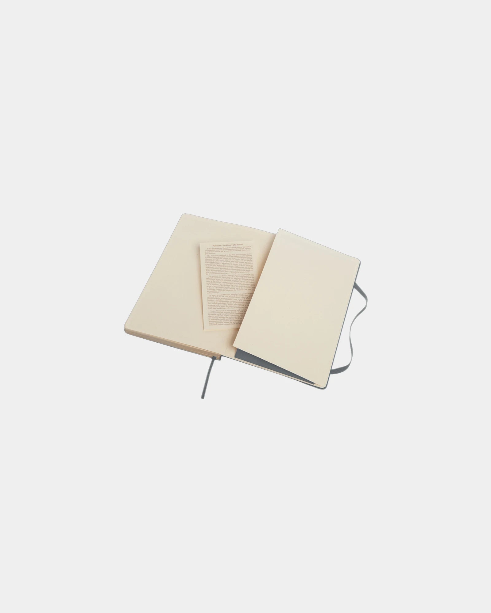 Custom eco-friendly Moleskine Classic L notebook - 8