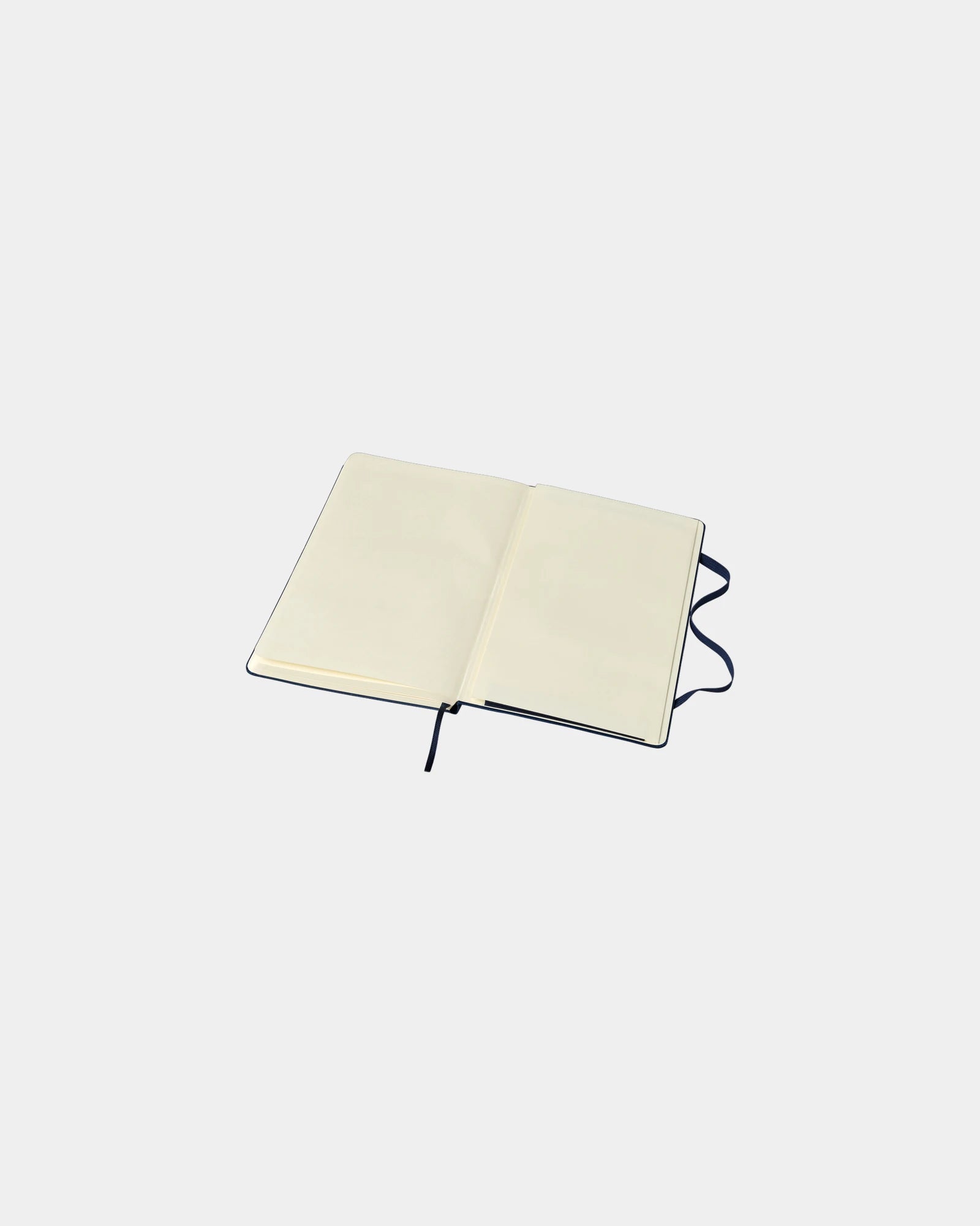 Custom eco-friendly Moleskine Classic L notebook - 16