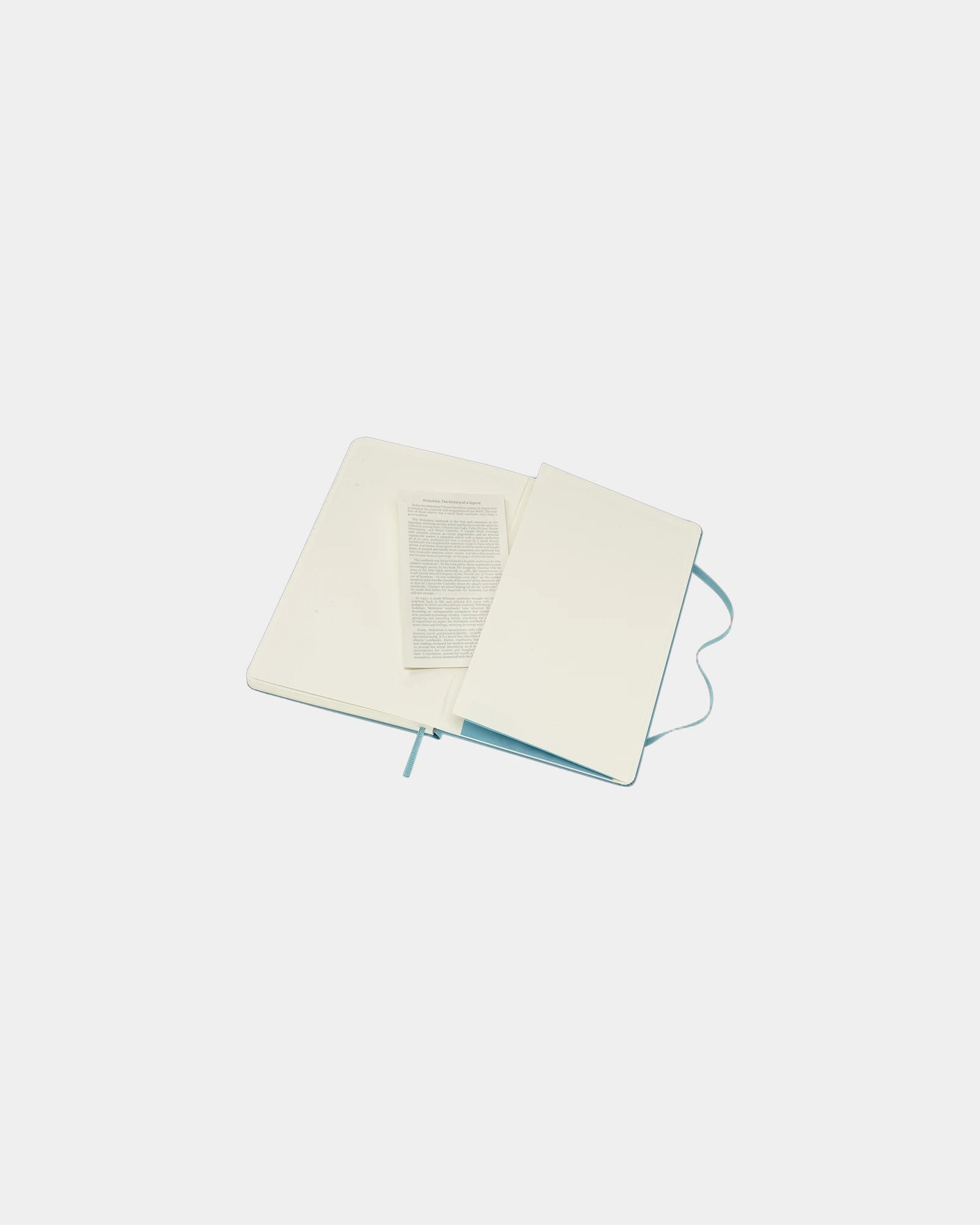 Custom eco-friendly Moleskine Classic L notebook - 20