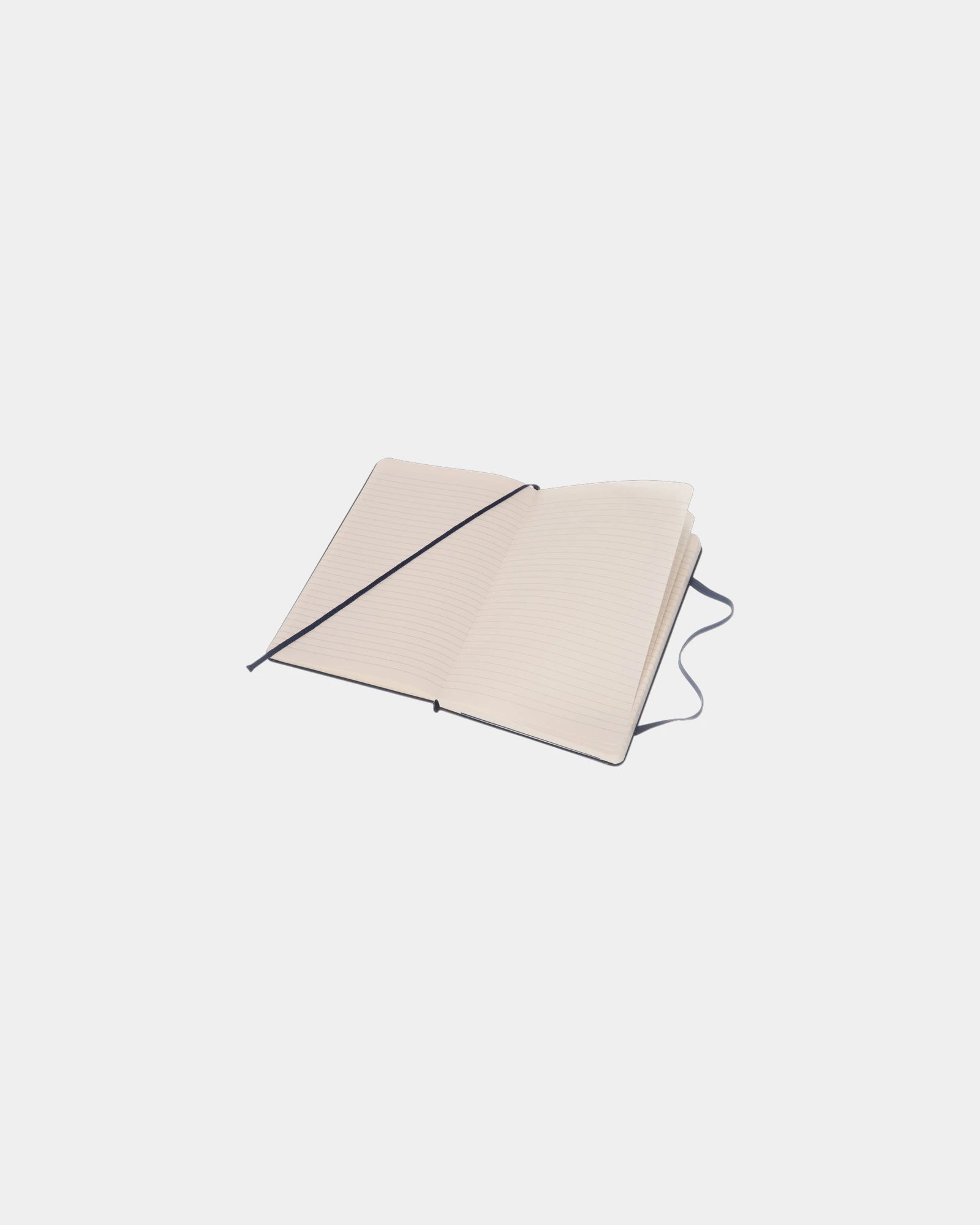 Custom eco-friendly Moleskine Classic L notebook - 17