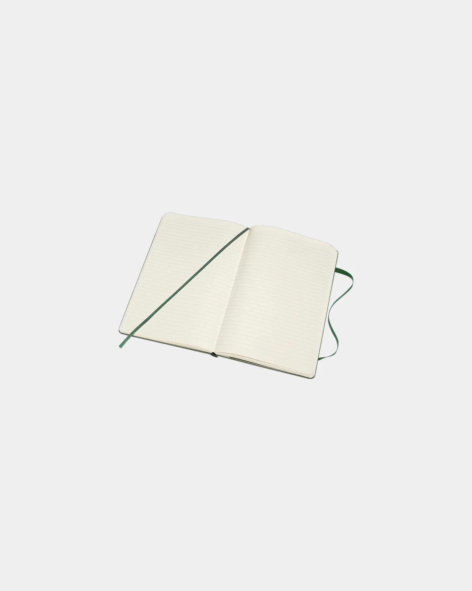 Custom eco-friendly Moleskine Classic L notebook - 29