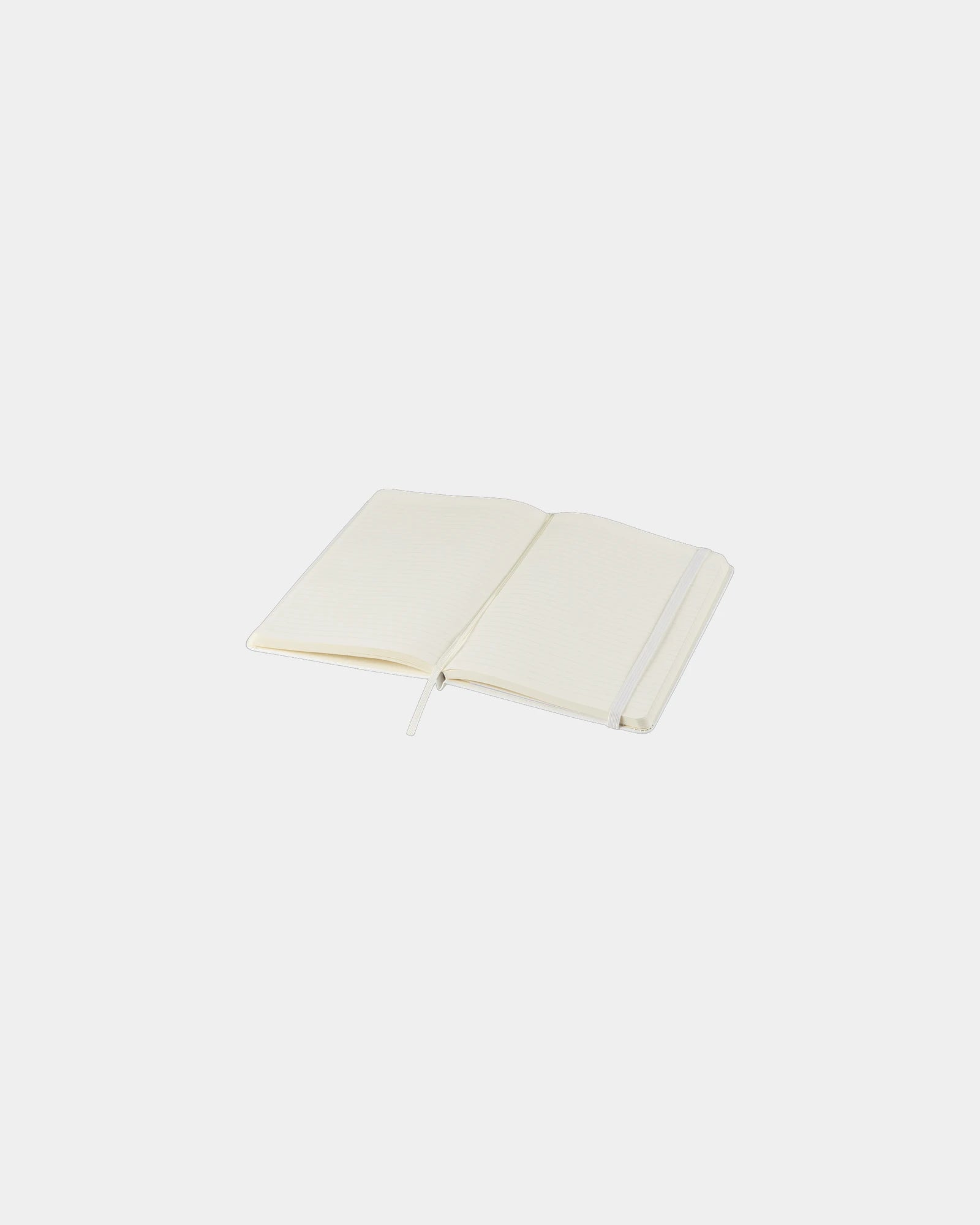 Custom eco-friendly Moleskine Classic L notebook - 13