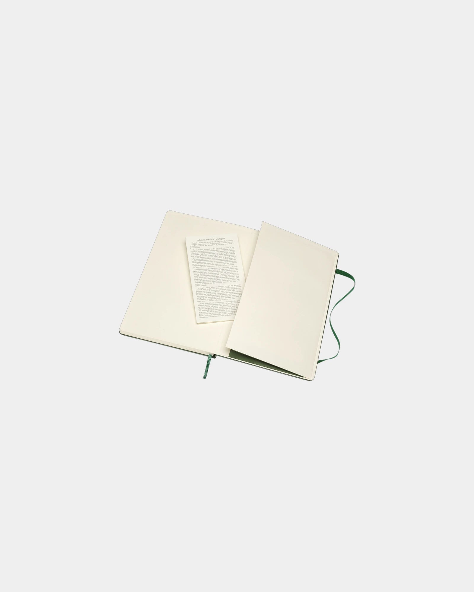 Custom eco-friendly Moleskine Classic L notebook - 28