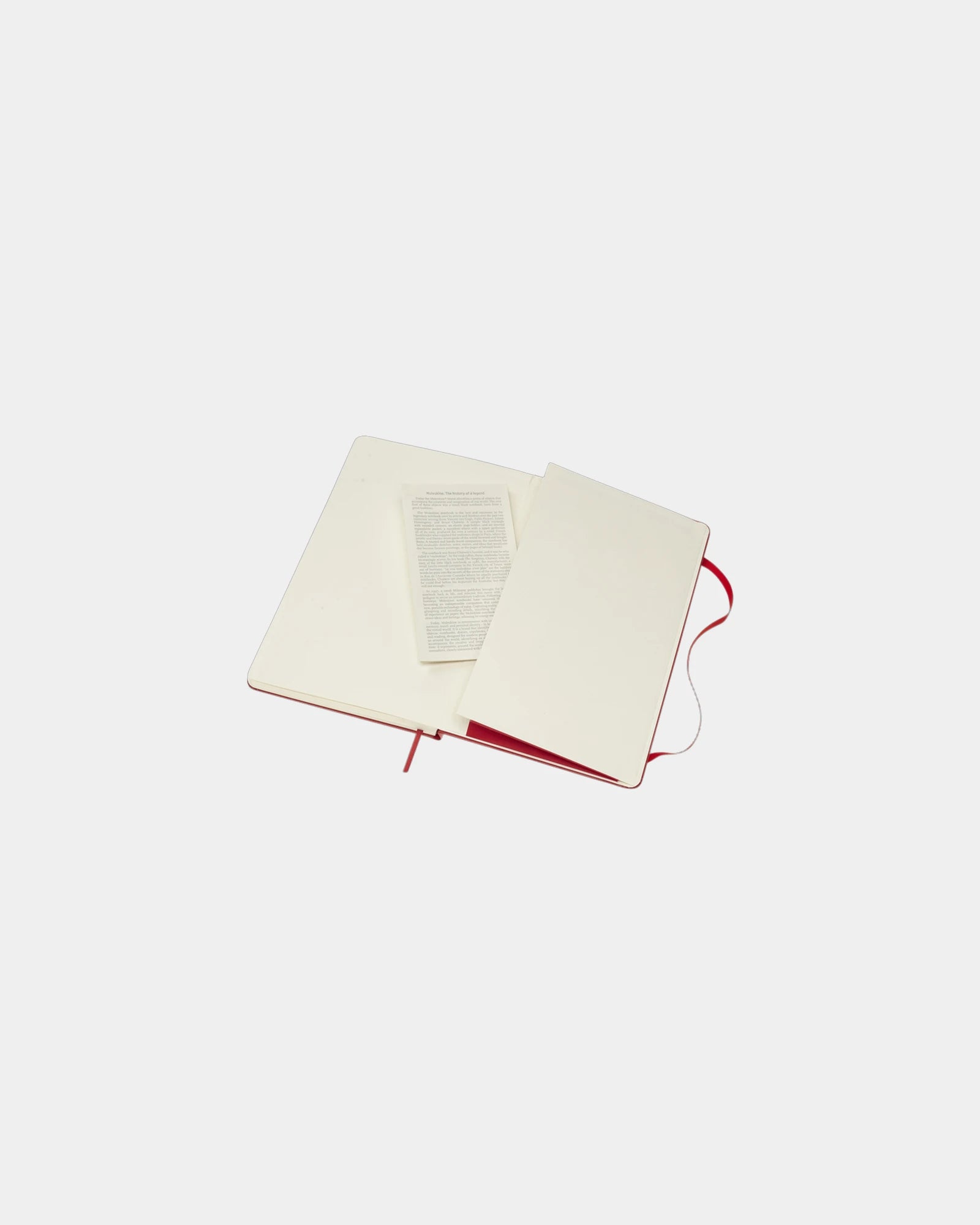 Custom eco-friendly Moleskine Classic L notebook - 25