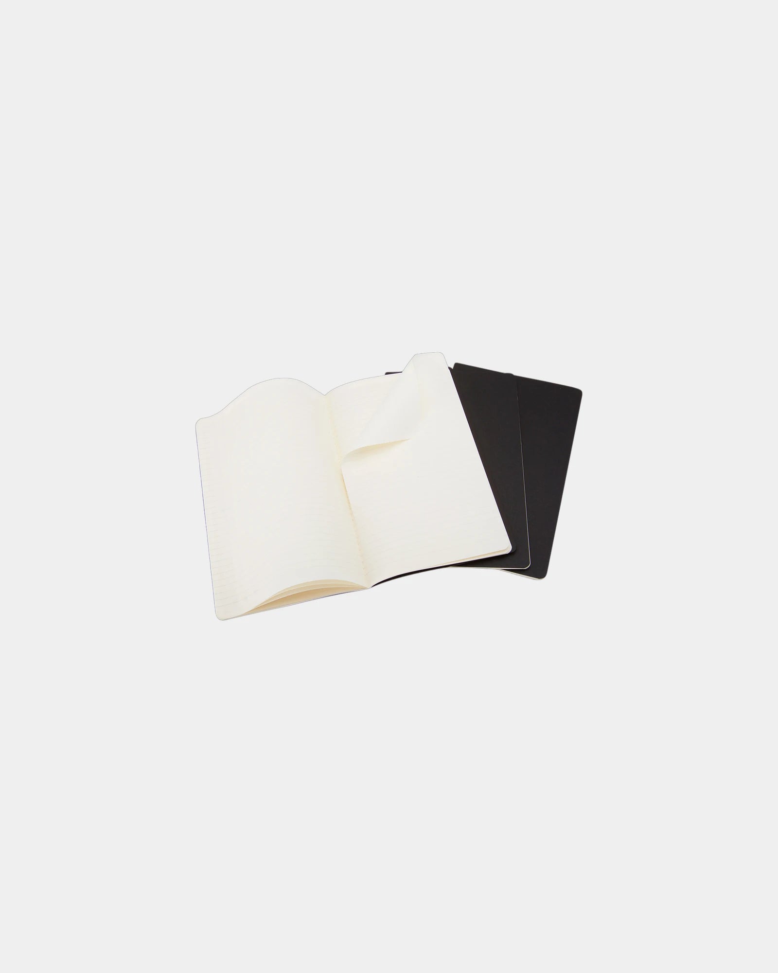 Custom eco-friendly lined notebook Moleskine Journal L - 3