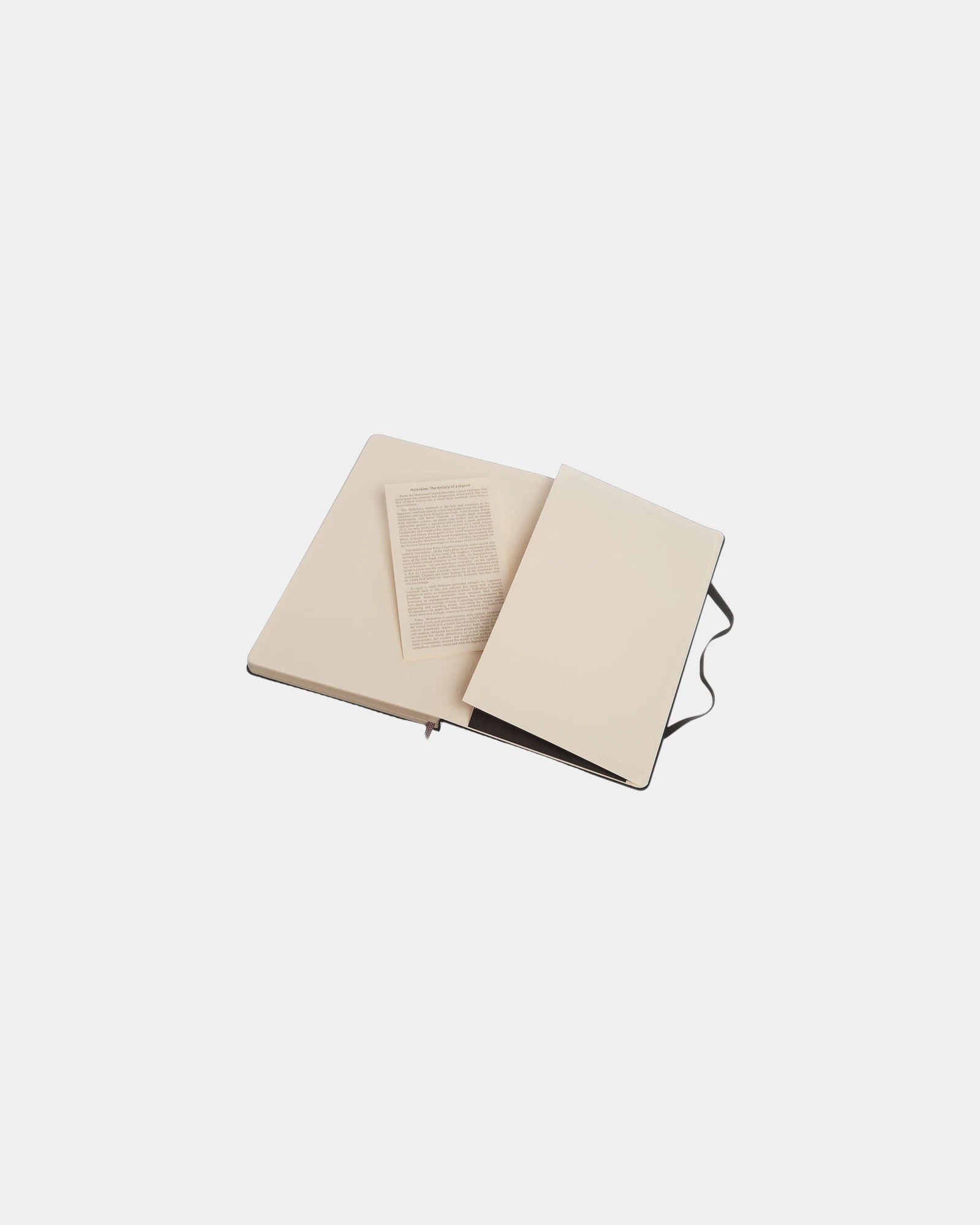Custom eco-friendly Moleskine Classic L notebook - 3