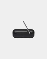 Custom portable Bluetooth radio JBL Tuner 2 - 5