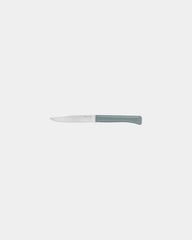 Coffret de 4 couteaux de table inox Opinel Bon Appétit à personnaliser - 2