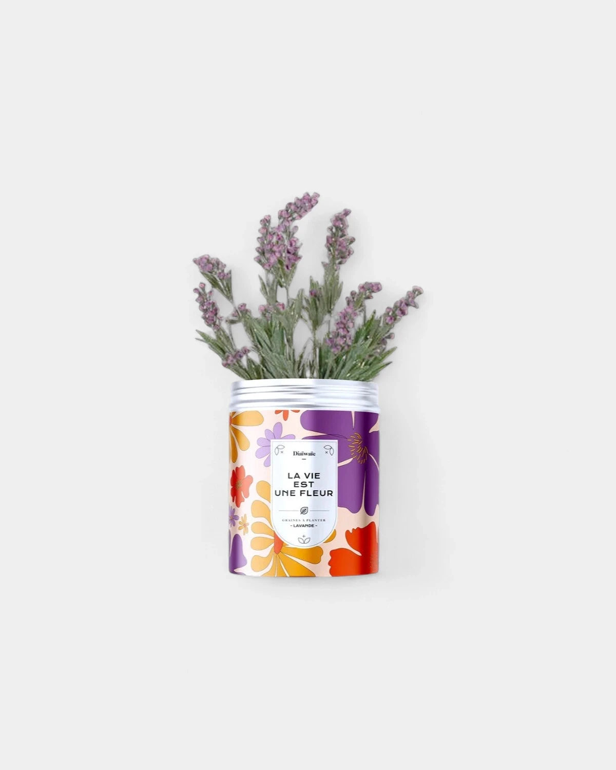 Customizable Planting Seed Kits