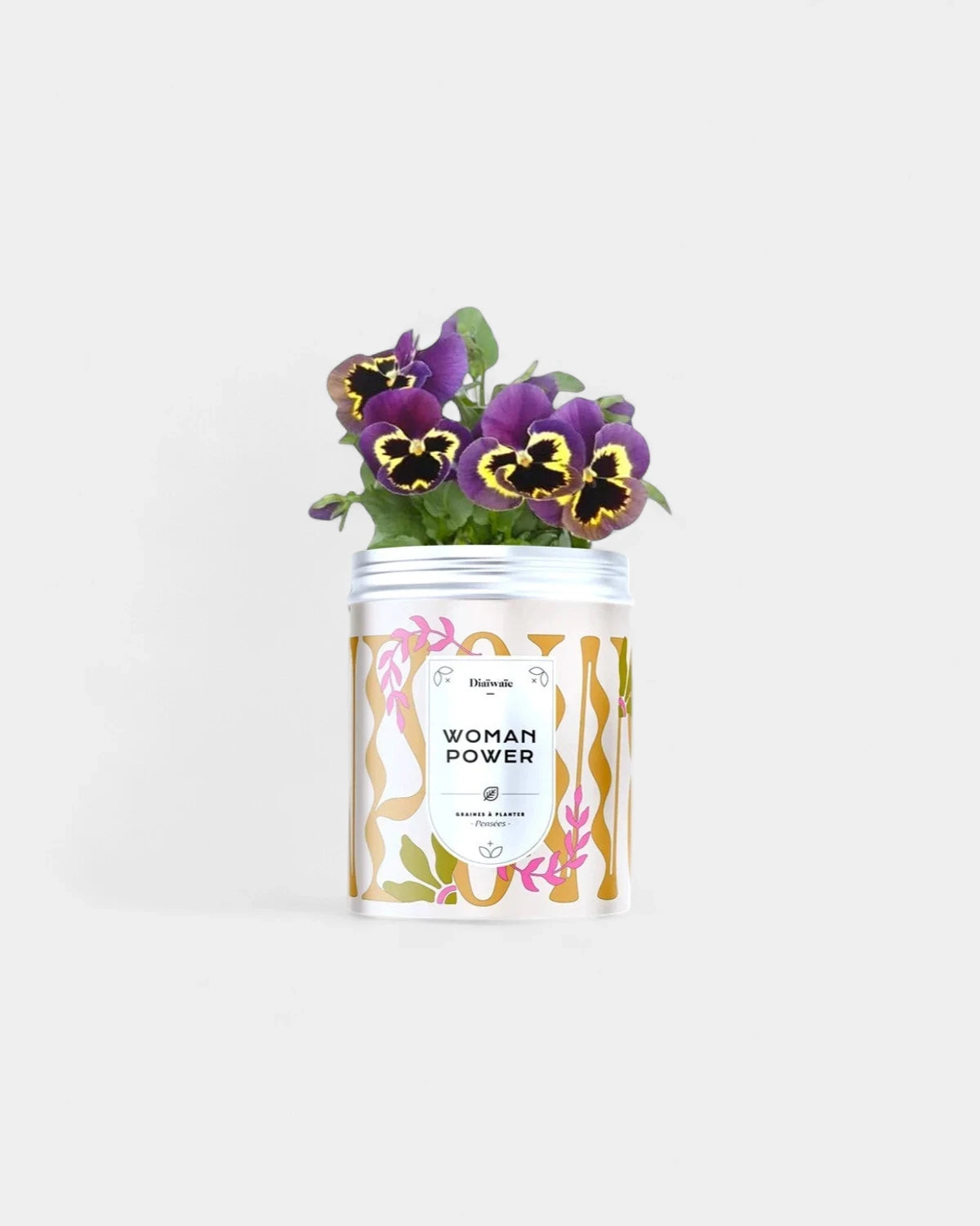 Customizable Planting Seed Kits