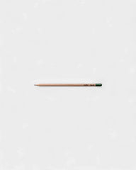Customizable Eco-Friendly Plantable Pencil - 5