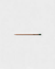 Customizable Eco-Friendly Plantable Pencil - 10