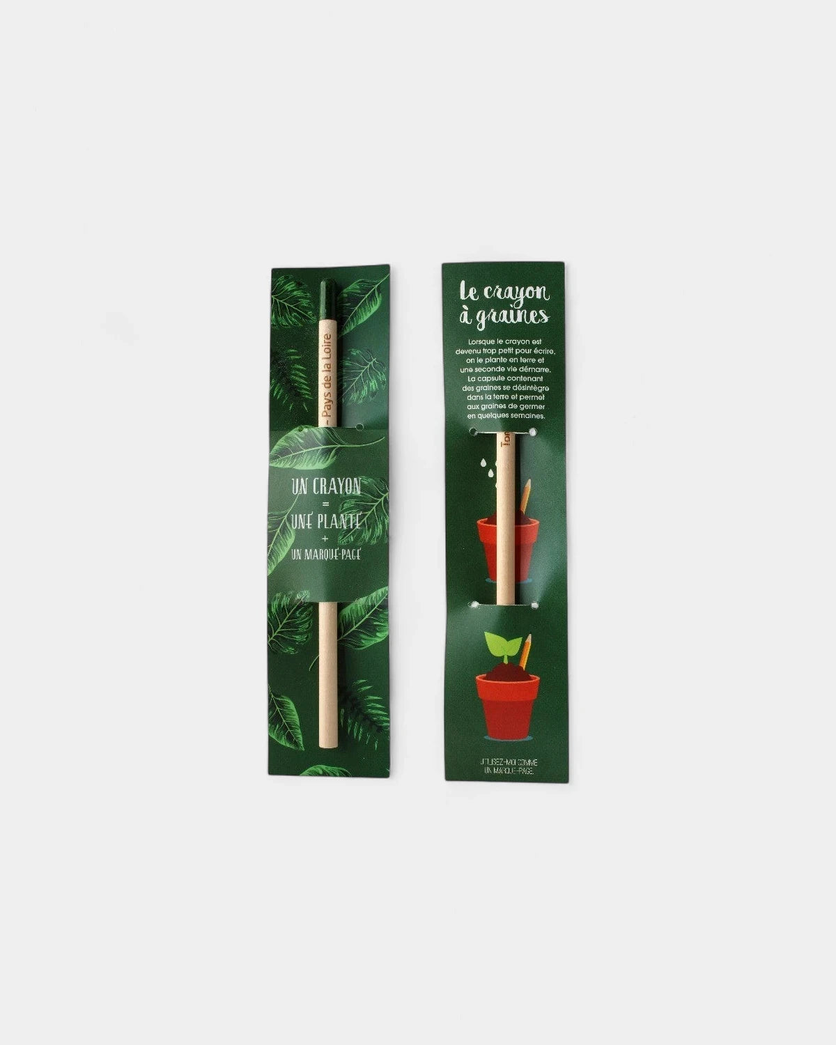 Plantable and Customizable Pencils