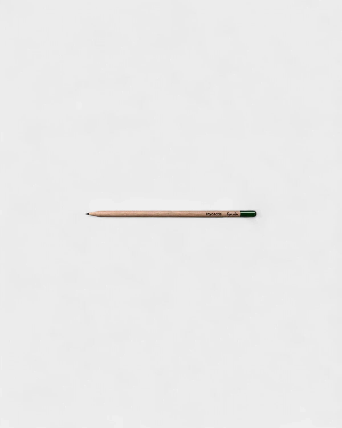 Customizable Eco-Friendly Plantable Pencil