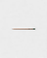 Customizable Eco-Friendly Plantable Pencil