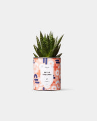 100% Customizable Cactus Diaiwaie