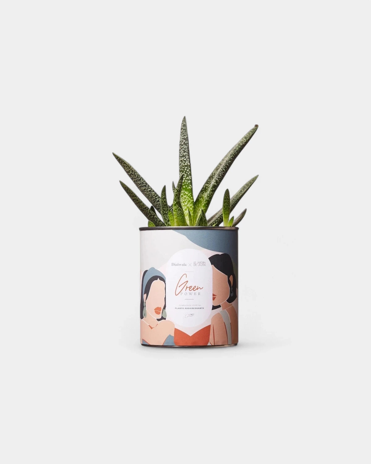 100% Customizable Cactus Diaiwaie