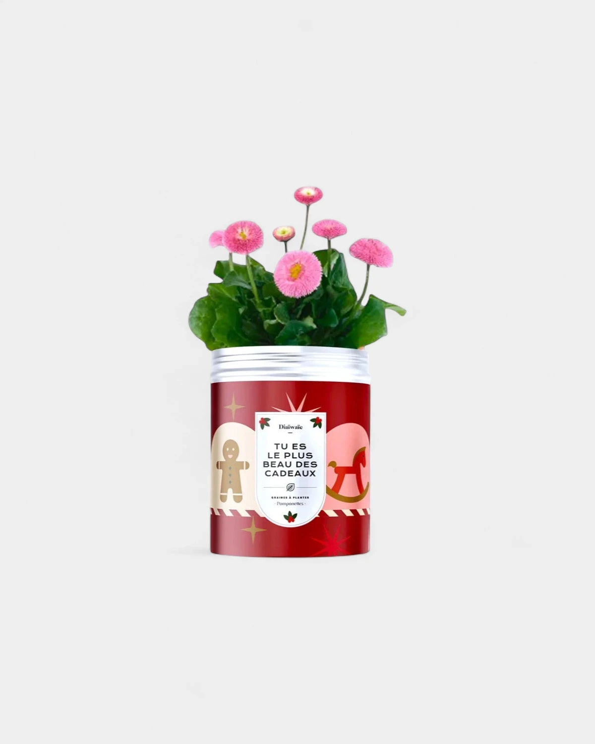 Customizable Planting Seed Kits