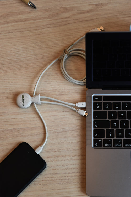 Custom multi-charger cable
