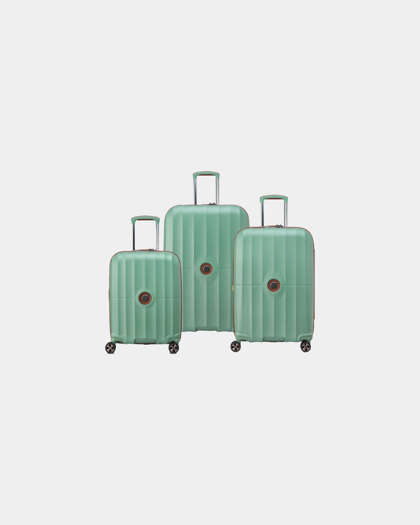 Custom polycarbonate luggage set Delsey Carrousel 2 - Sage Green