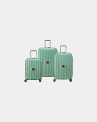 Custom polycarbonate luggage set Delsey Carrousel 2 - Sage Green