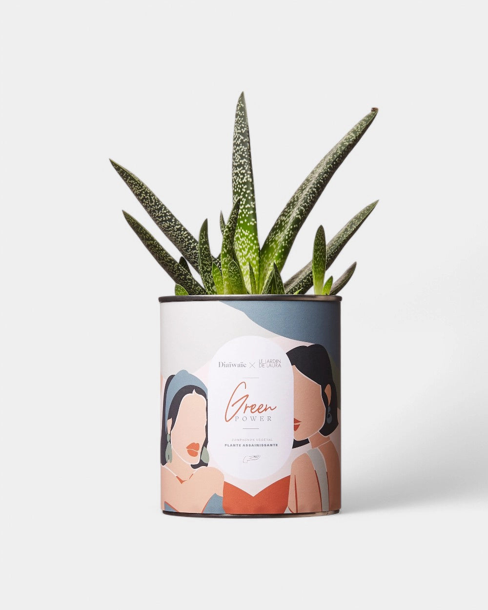 100% Customizable Cactus Diaiwaie
