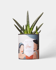 100% Customizable Cactus Diaiwaie