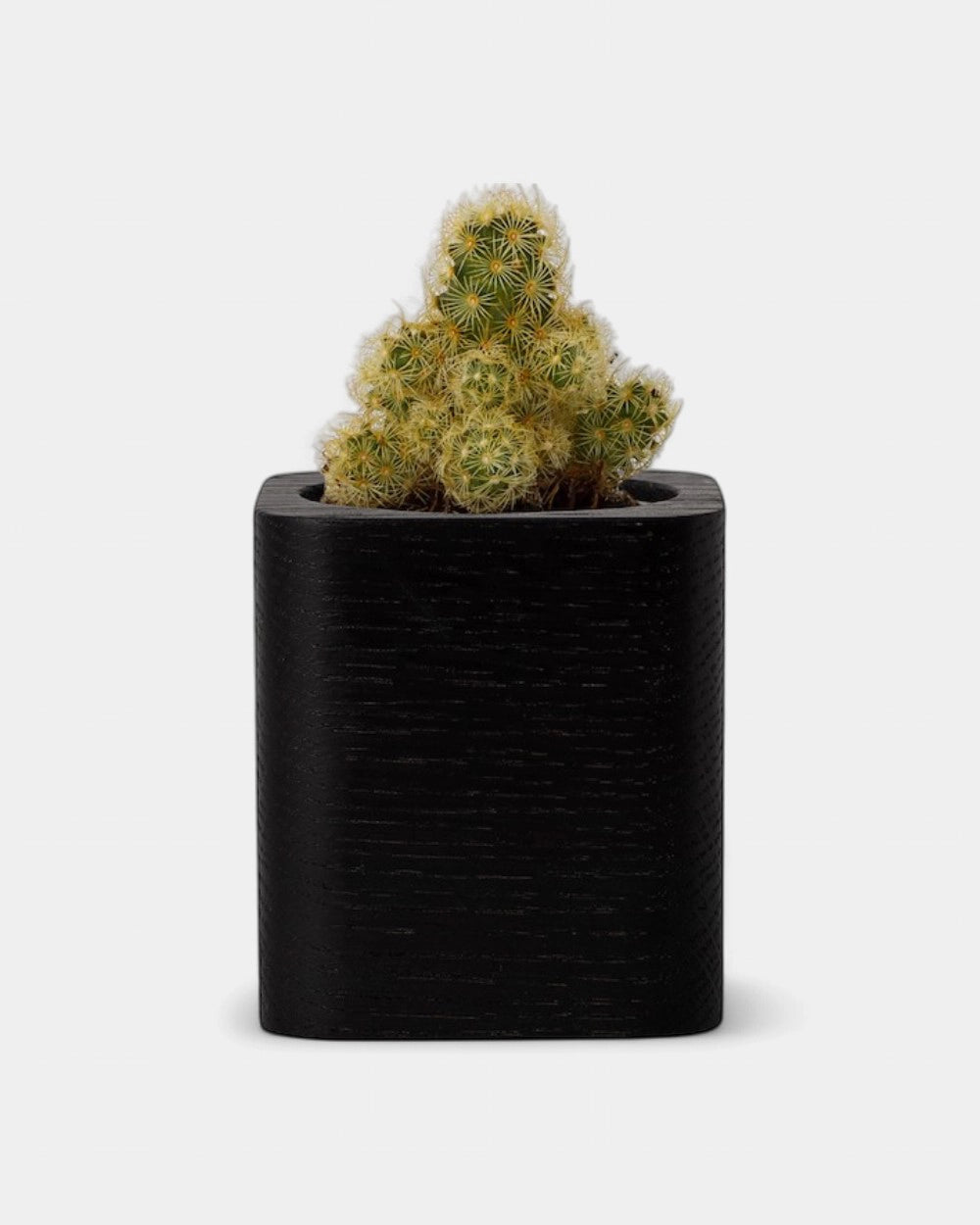 Customizable Cube Pot