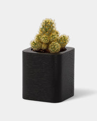 Customizable Cube Pot