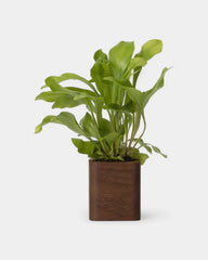 Customizable Cube Pot