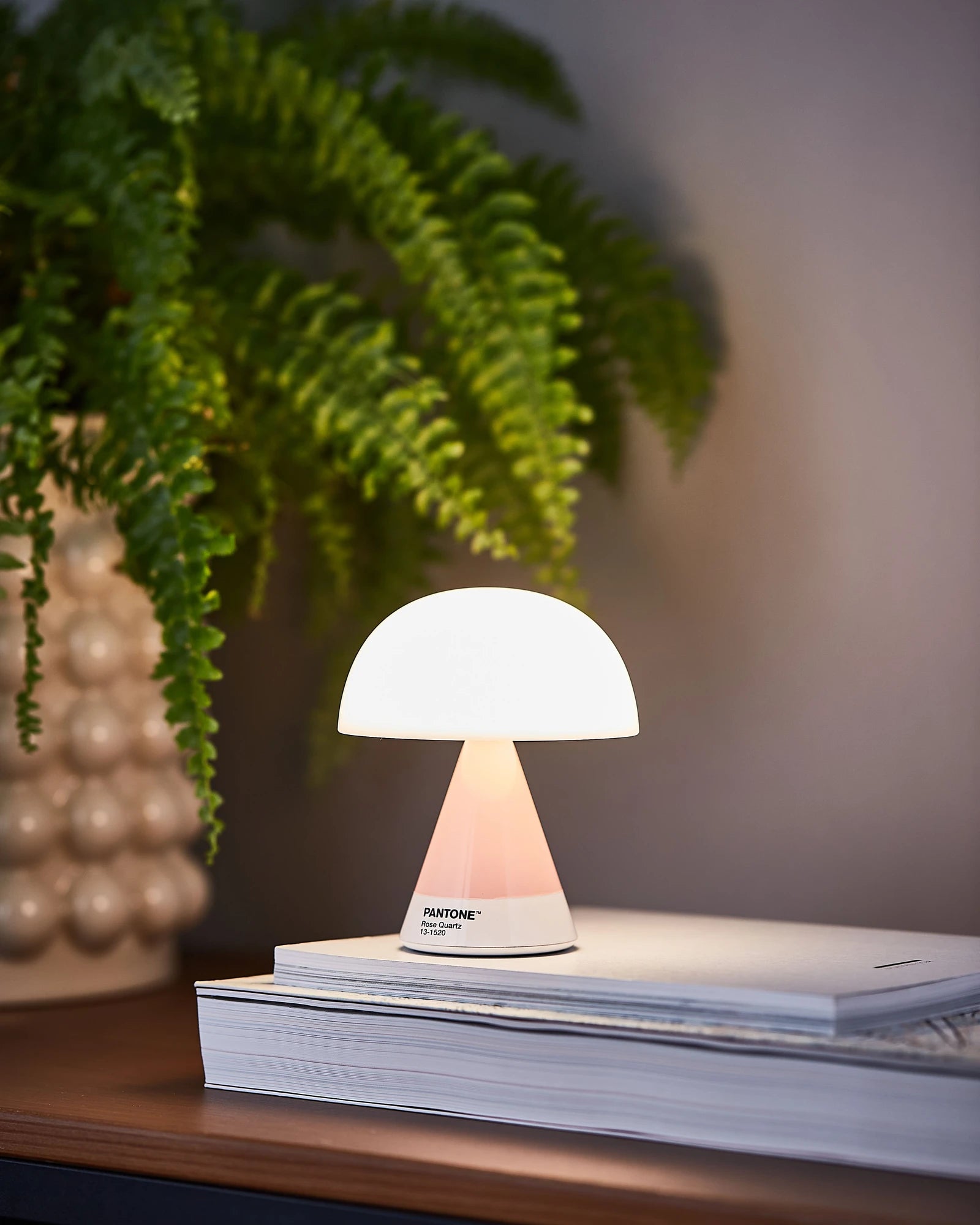 Custom portable LED lamp Lexon Mina M - Mimosa - 49