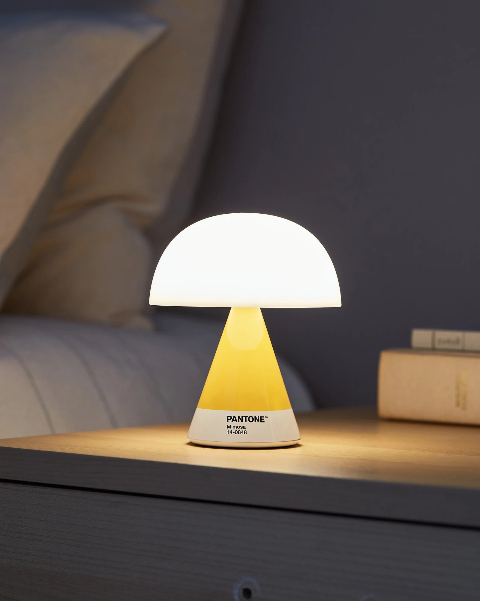 Custom portable LED lamp Lexon Mina M - Mimosa - 7