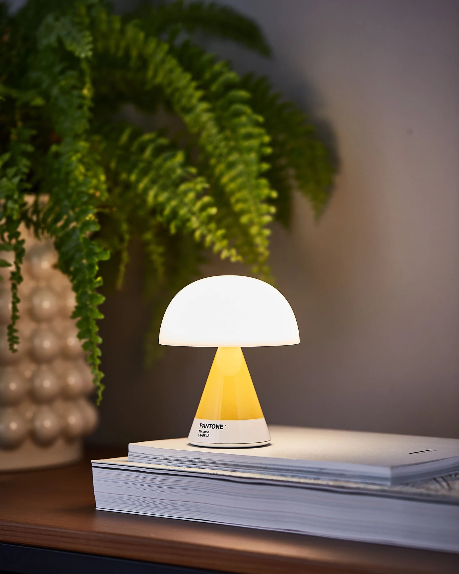 Custom portable LED lamp Lexon Mina M - Mimosa - 5