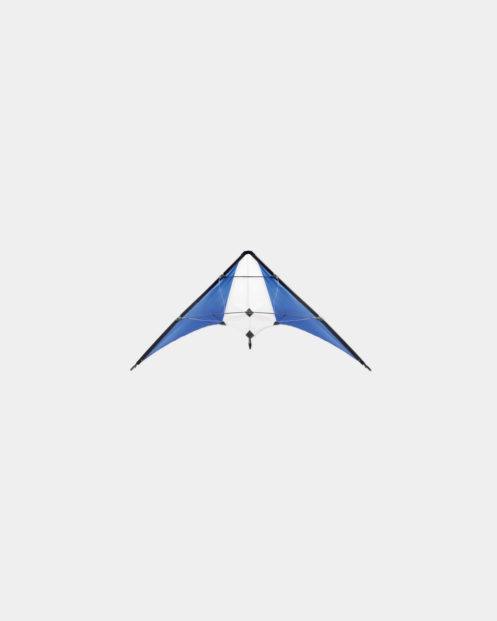 Promotional polyester kite 160 x 75 cm - 1