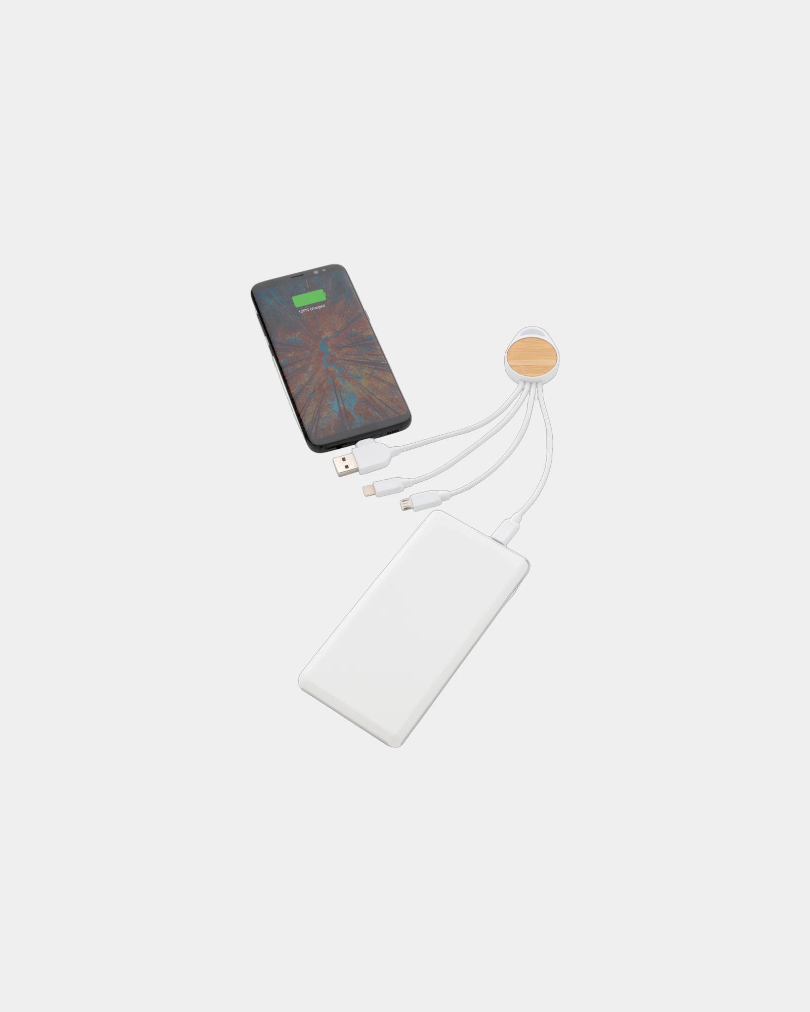 Promotional recycled TPE cable with bamboo casing - 2