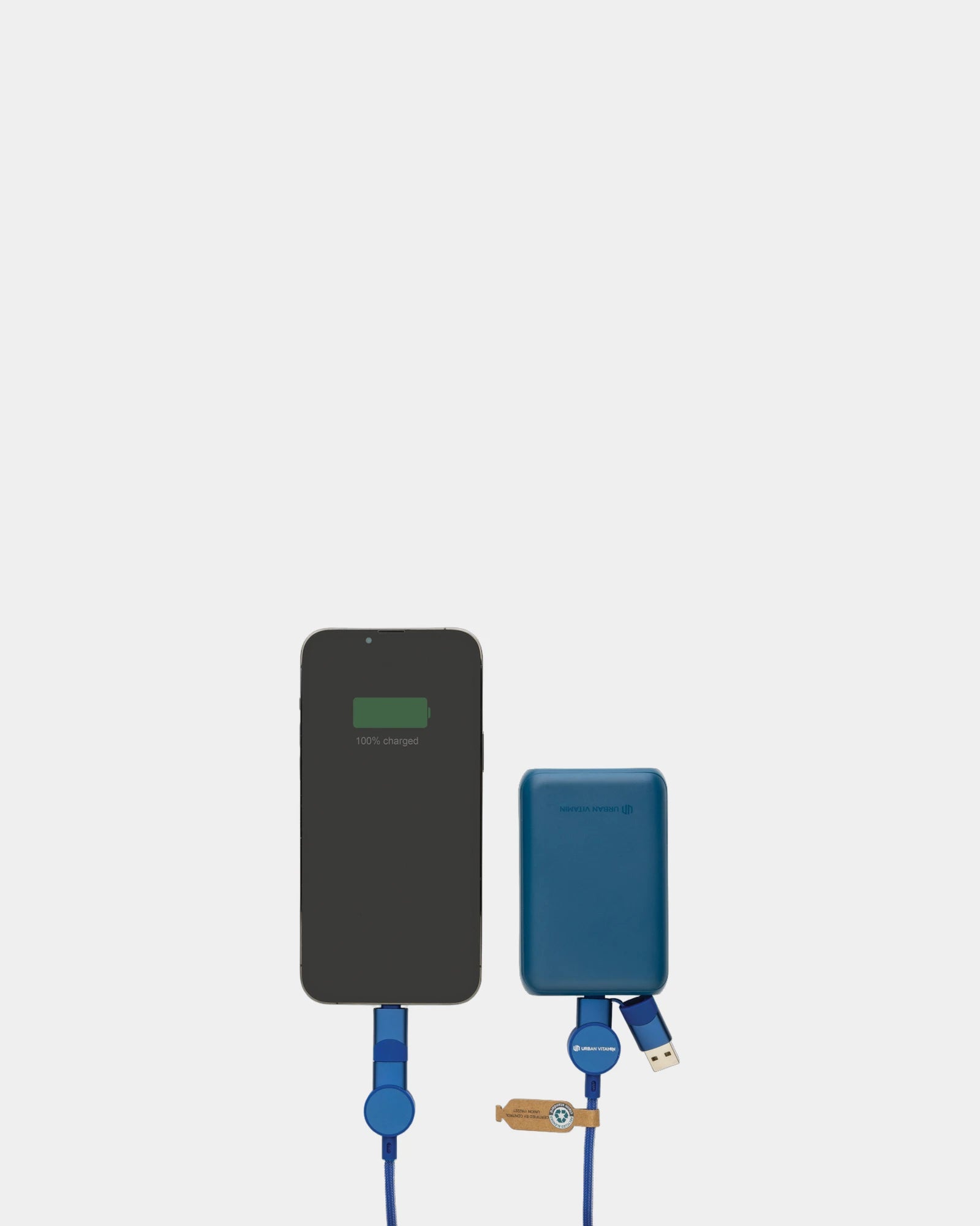 Custom 6-in-1 charging cable Urban Vitamin Oakland - 17
