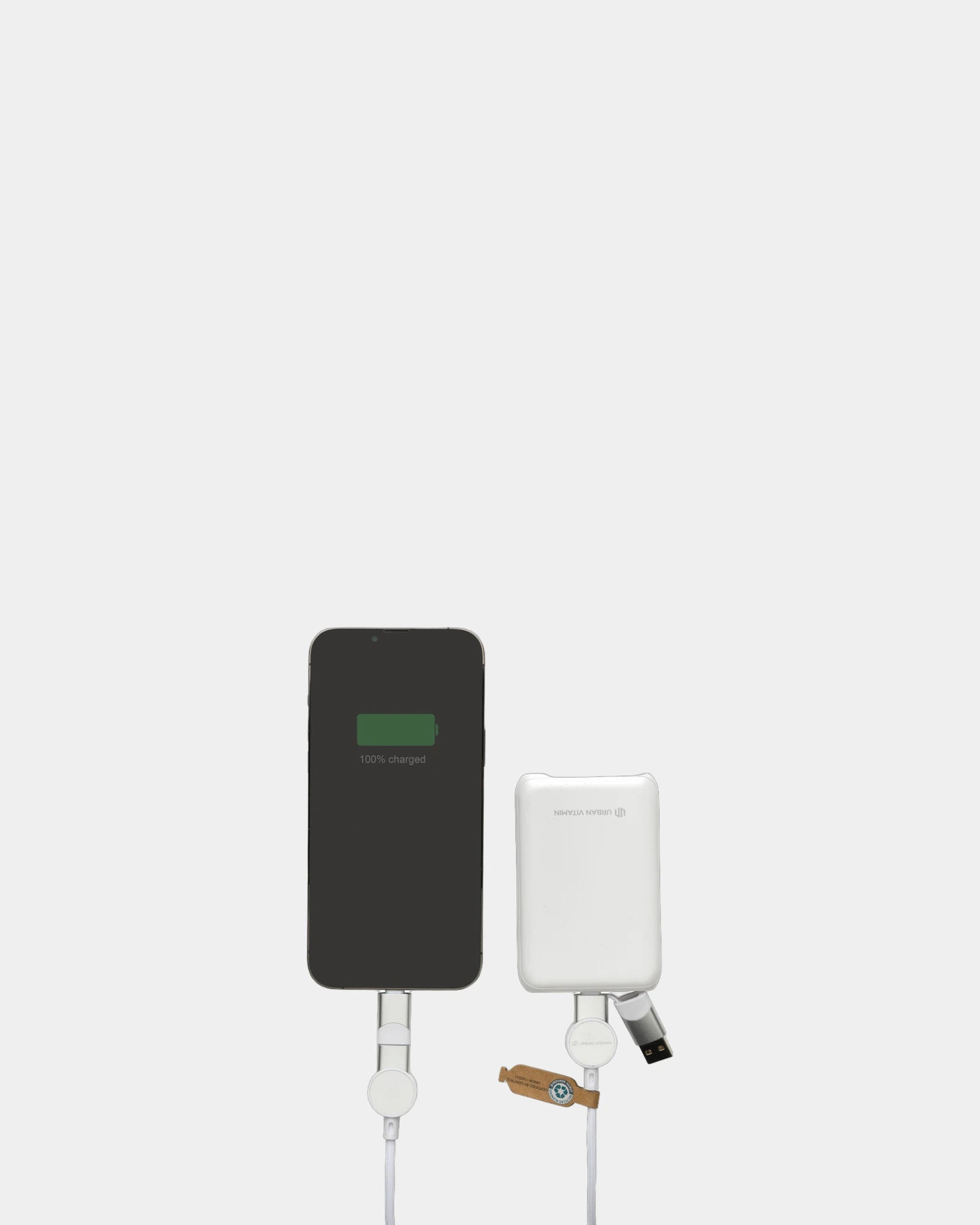 Custom 6-in-1 charging cable Urban Vitamin Oakland - 12