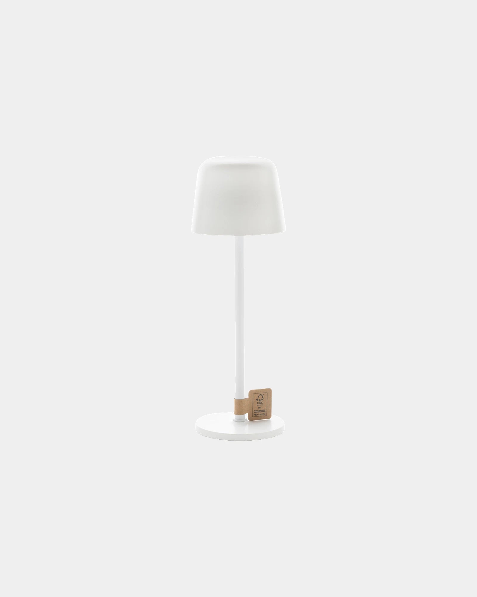 Promotional recycled USB table lamp