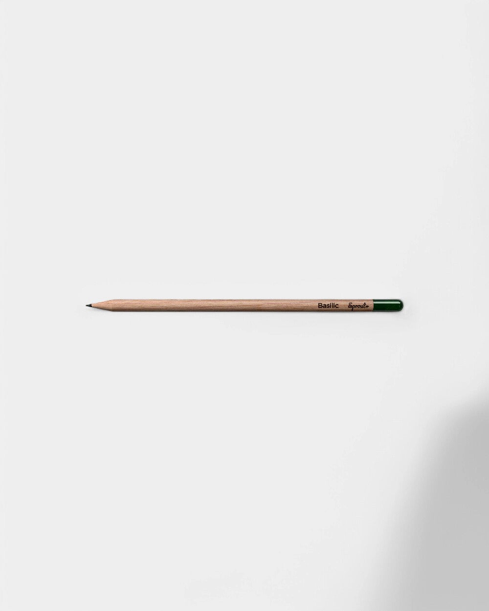 Customizable Eco-Friendly Plantable Pencil