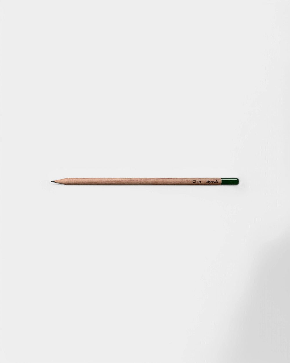 Customizable Eco-Friendly Plantable Pencil