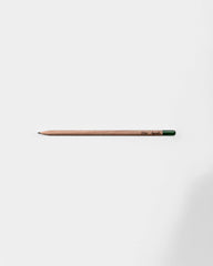 Customizable Eco-Friendly Plantable Pencil