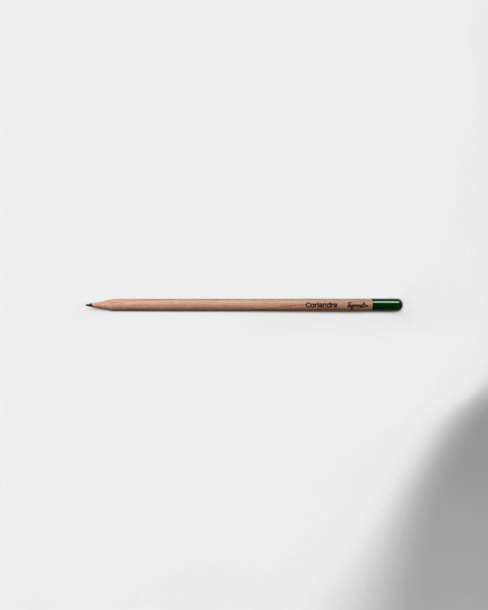 Customizable Eco-Friendly Plantable Pencil