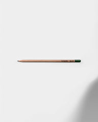 Customizable Eco-Friendly Plantable Pencil