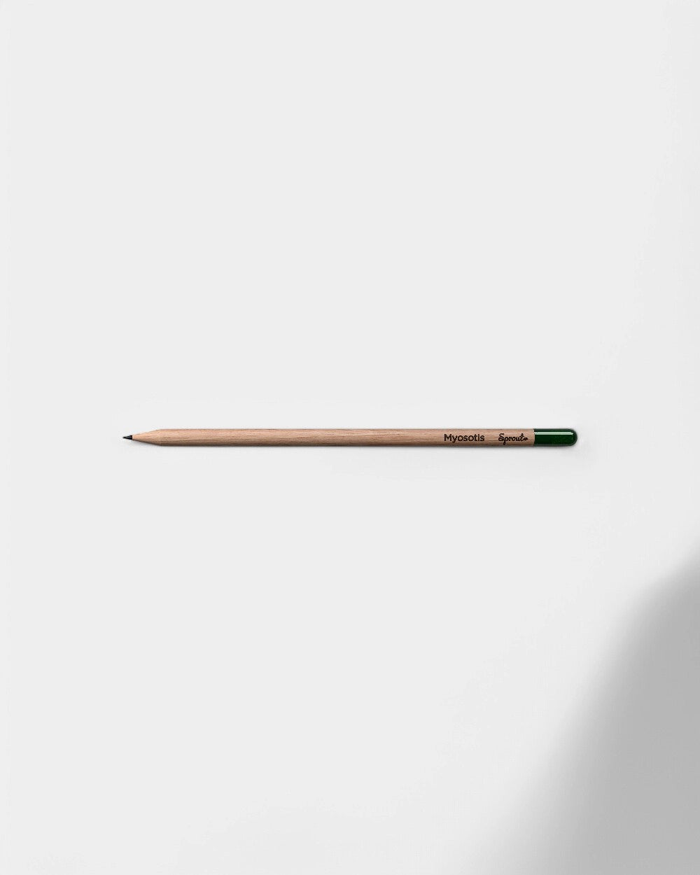 Customizable Eco-Friendly Plantable Pencil